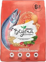 Purina Beyond Natural Wholesome Ingredients for Whole Health Dry Cat Food Salmon and Whole Brown Rice Recipe - 6 lb. Bag