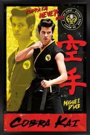 Cobra Kai - Miguel Poster