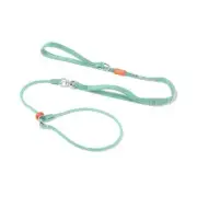 Slip Lead Dog Leash with Double Handles | Reflective Dog 5.5FT-Swivel MintGreen