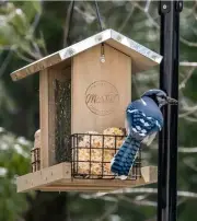 2 SUET & SEED Hanging BIRD FEEDER Metal Roof & Screen Floor FARMERS MARKET 12.5”