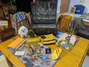 Harry Potter Hufflepuff Trunk