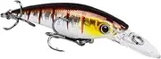 Swimbait Fishing Lures | Portable Animated Lure Bait,Saltwater Fish Tackle Kit, Slow Sinking Bass Fishing Crankbaits for Saltwater and Freshwater