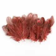 Win Red 50pcs Natural Colour Pheasant Feathers 5-8cm DIY Wedding Craft Party Decorations