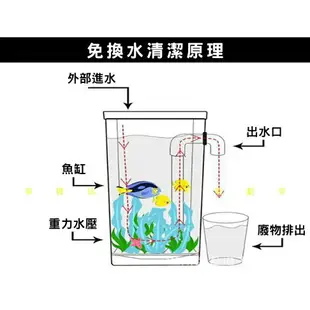 @貨比三家不吃虧@免換水魚缸 懶人魚缸 辦公室小魚缸 生態缸 水族魚 免換水 觀賞魚缸 桌面魚缸 套缸 療癒 壓克力缸