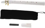 JOINPAYA Mini Saxophone Portable Pocket Saxophone for Beginners for Boys and Girls