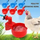 12PCS Automatic Cups Water Feeder Drinker Chicken Waterer Poultry Chook Bird DX