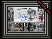 GET SMART -MAXWELL SMART-AGENT 99 LIMITED EDT CAST SIGNED & FRAMED MEMORABILIA