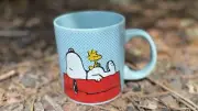 Peanuts SNOOPY & WOODSTOCK Teal Polka Dot Doghouse 20 oz Coffee Mug Tea Cup NEW