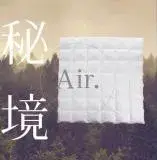 在飛比找遠傳friDay購物優惠-QTACE 心舒淨羽絨被 -AIR 秘境款 / 雙人