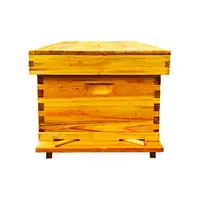 在飛比找樂天市場購物網優惠-蜂箱 中蜂蜂箱全套蜜蜂箱巢框10框土蜂箱煮蠟意蜂蜂桶養蜂工具