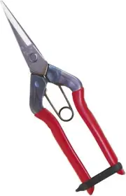 JAPAN BRAND CHIKAMASA BUD PRUNING SCISSORS T550S MADE IN JAPAN PROFESSIONAL