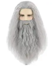 Gandalf Wizard Mens Wig & Beard