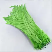 [Hamthuit] 50 Pcs 35-40CM Rooster Coque Tail Feathers for Crafts Natural Rooster Feather Pheasant Feather Assesoires EN8