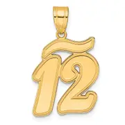 14k Yellow Gold Brushed Border Script Number 12 Pendant
