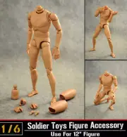 1/6 Dragon DML B001 Narrow Shoulder Nude Body 12'' Male Action Figure Modeltoy