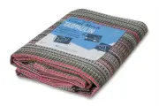 Chicago Canvas & Supply Multicolor Vinyl Mesh Polyester Tarp (8 feet x 10 feet)