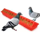 Pheasant Feeding Bucket Poultry Ground Feeder Chicken Feed Trough Bird Feeder