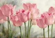 DIY Paint by Numbers Oil Painting Canvas Kids or Adults Beginner with Brushes a