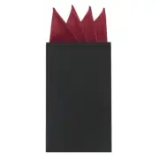 Pocket Squares for Men Prefolded Mens Handkerchiefs Pre-Folded Card Handkerch...