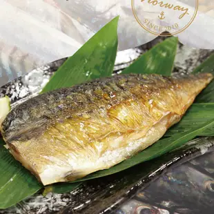 免運!【魚之達人】30片 超鮮頂級挪威鯖魚片 110g/片