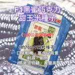 【現貨。不用再問】F1 黑蜜 巧克力 甜玉米 種子 (100公克分裝) 約760-790粒 玉米種子 黑玉米 紫玉米種子