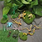 Toy Simulation toys Kids Gift Snake Lizard Ant Insect Farm Animal Fun Model