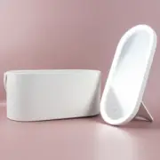 Lighted Makeup Vanity Mirror with Storage Case.