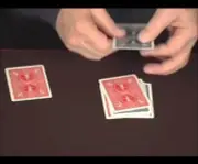 OIL & WATER REMIXED DVD & SPECIAL CARDS BY DAVID SOLOMON MAGIC TRICK