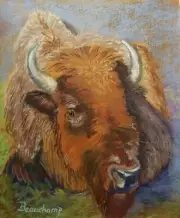 Bison Buffalo original pastel painting on paper 9x11 southwest art N Beauchamp