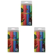 3x 12pc Jasart Studio Sch Artist Art/Craft Colour Pencil Set Non-Toxic Tropical