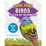 LARGE PRINT COLOR BY NUMBERS BIRDS