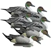 Higdon 6 Pack Battleship Pintail Foam Filled Drake Duck Hunting Decoys, #16544
