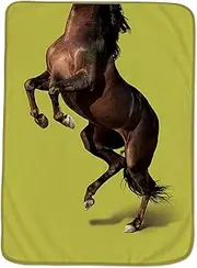 HOWLIGANS Exotic PET Blanket