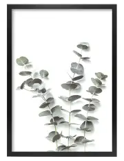 [Profile Australia] Australian Made Eucalyptus Foliage Art Print A2 in Black Frame No Border