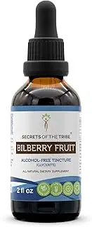 Bilberry Fruit Tincture Alcohol-Free Extract, Organic Bilberry Vaccinium Myrtillus Healthy Vision 2 oz