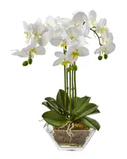 Nearly Natural Triple Phalaenopsis Orchid in Glass Vase
