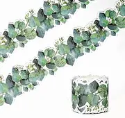 49ft Eucalyptus Die-Cut Border Trim Bulletin Board Classroom Border Trim Eucalyptus Themed Border Sticker for Photo Wall Bulletin Boards Desks Display Home and School Decorations Green