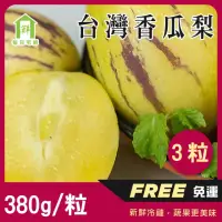 在飛比找momo購物網優惠-【每日宅鮮】香瓜梨(1粒／380g／盒±5% x3盒 人參果