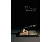 Citizen Aaron Shurin Paperback Book