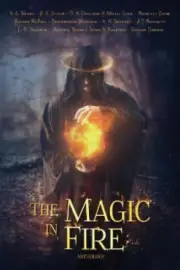 The Magic in Fire by Young, Victoria [Paperback, 216 pages]
