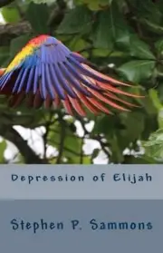 Depression of Elijah: On Depression and Renewal in Christian Service by Stephen