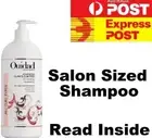 Ouidad Advanced Climate Control Defrizzing Shampoo 1000ml/1 Litre Salon Size