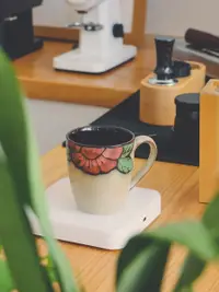 在飛比找松果購物優惠-歐式風格陶瓷咖啡杯 山茶花釉下彩 女高顏值 冰美式家用馬克杯
