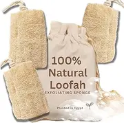 Set of 3 Luxurious 100% Natural Spa Beauty Egyptian Organic Loofah Bath Sponge Body Scrubber. Premium Quality Lofa Loofa Luffa Loffa for Exfoliating Your Skin