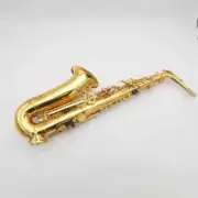 Popular Saxophone Alto YAS-875EX E Sax Instrument High Quality with Accessories