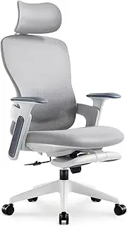 [TopJob] Fashionable Office Chair, Ergonomic High Back Home Desk Chair with Headrest and Footrest, Ergonomic High-Back Mesh Rolling Work Swivel Chairs with Wheels and Adjustable Lumbar Support (Gray)