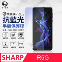 在飛比找PChome24h購物優惠-【O-ONE】Sharp R5G .全膠抗藍光螢幕保護貼 S