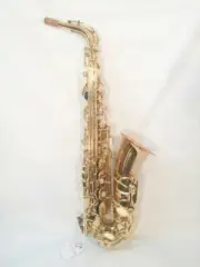 Musikwerks-Gold Lacquer Alto Saxophone-Semi Pro Level-High F#-New-Shop Warranty!