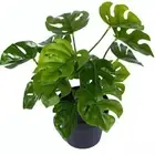 Decoration Garden Decor Turtle Leaves Fake Plant Simulation Plants Green Plant