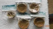 Vintage Darice Bird Nest Outdoors Home Decorating 4 " set of 6